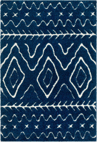 Surya Cut and Loop Shag CLG-2315 Area Rug main image