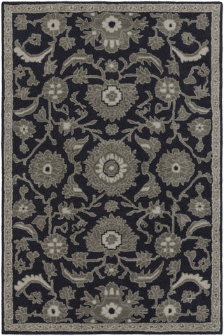 Surya Castello CLL-1008 Area Rug 4' x 6'