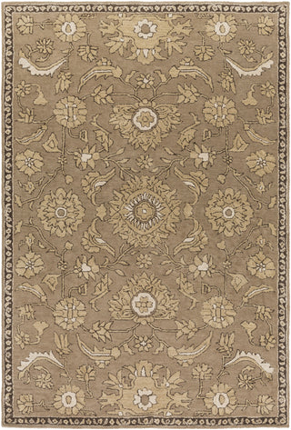 Surya Castello CLL-1009 Taupe Area Rug main image