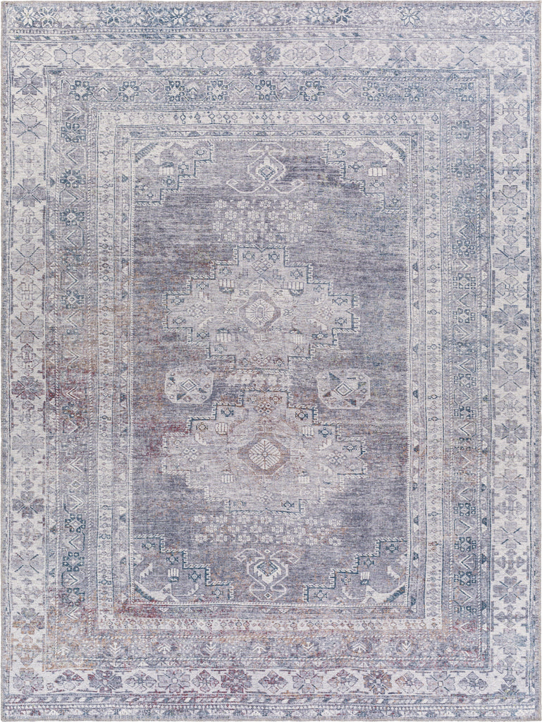 Surya Colin CLN-2304 Area Rug Main Image