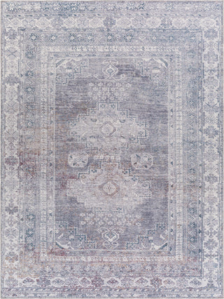 Surya Colin CLN-2304 Area Rug Main Image