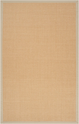 Surya Clinton CLN-9002 Light Gray Area Rug 5' x 7'9''