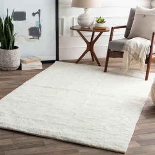 Surya Calidus CLU-1000 Area Rug Room Scene Feature