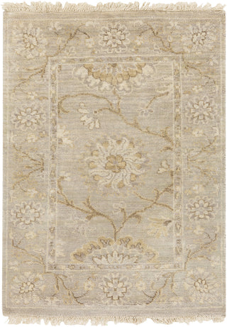 Surya Cambridge CMB-8006 Beige Area Rug 2' x 3'