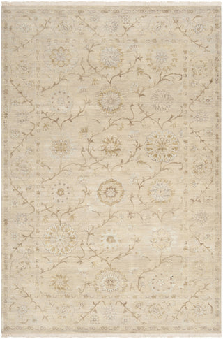 Surya Cambridge CMB-8006 Beige Area Rug 5'6'' x 8'6''