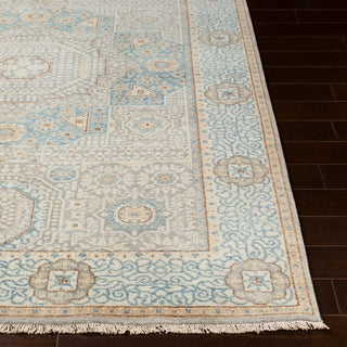 Surya Cambridge CMB-8014 Area Rug 