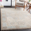 Surya Cambridge CMB-8014 Area Rug Room Scene Feature