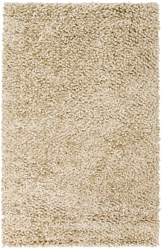 Surya Cumulus CML-2000 Ivory Area Rug 5' x 8'