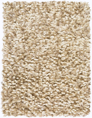 Surya Cumulus CML-2003 Ivory Area Rug 2' x 3'