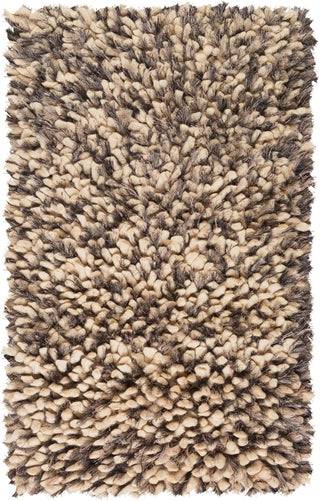 Surya Cumulus CML-2004 Ivory Area Rug 2' x 3'