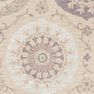 Surya Centennial CNT-1104 Beige Hand Tufted Area Rug Sample Swatch