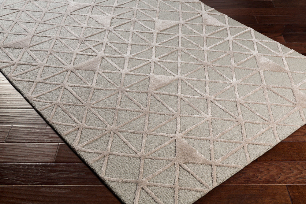 Surya Colorado COD-1003 Area Rug Corner Shot Feature