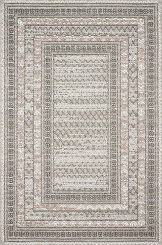 Loloi Cole COL-03 Grey/Multi Area Rug main image