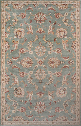 Momeni Colorado CLD-1 Sage Area Rug main image