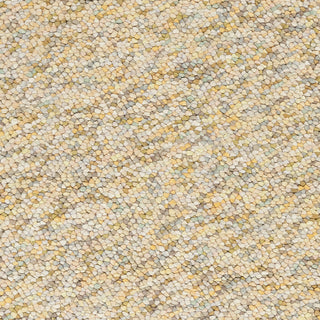 Surya Confetti CONFETT-3 Beige Hand Woven Area Rug Sample Swatch