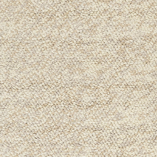 Surya Confetti CONFETT-5 Beige Hand Woven Area Rug Sample Swatch