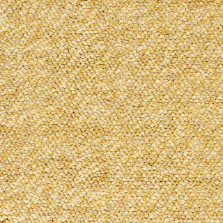 Surya Confetti CONFETT-7 Gold Hand Woven Area Rug Sample Swatch