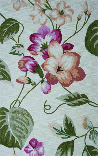 KAS Coral 4152 Sand Exotics Hand Tufted Area Rug