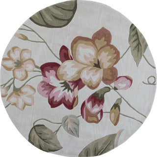 KAS Coral 4152 Sand Exotics Hand Tufted Area Rug 