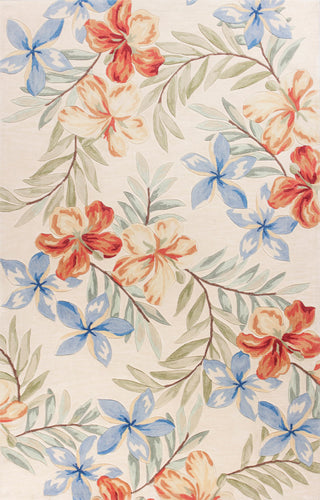 KAS Coral 4158 Ivory Aloha Area Rug main image