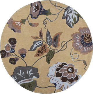 KAS Coral 4165 Gold Sofia Hand Tufted Area Rug 