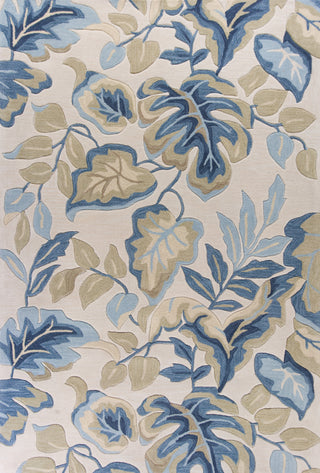 KAS Coral 4169 Ivory Exotics Hand Tufted Area Rug