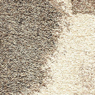 Orian Rugs Euphoria Ralston Gray Area Rug Swatch