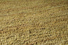 Surya Continental COT-1936 Gold Hand Woven Area Rug 