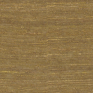 Surya Continental COT-1936 Area Rug 1'6'' X 1'6'' Sample Swatch