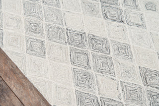 Momeni Cortland CRT-4 Grey Area Rug Close up