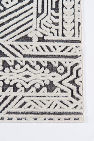 Momeni Covington COV-4 Charcoal Area Rug Close up