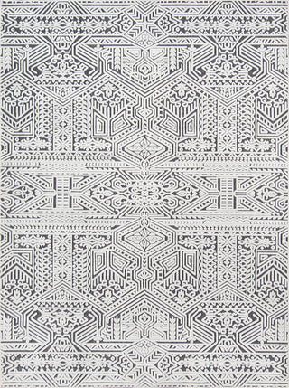 Momeni Covington COV-4 Charcoal Area Rug main image