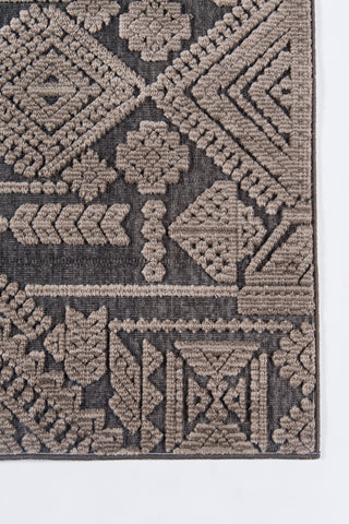 Momeni Covington COV-5 Brown Area Rug Close up