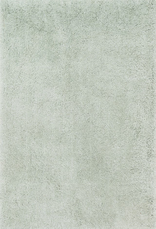 Loloi Cozy Shag CZ-01 Mist Area Rug main image