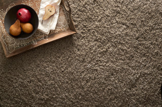 Loloi Cozy Shag CZ-01 Taupe Area Rug Runner Image Feature