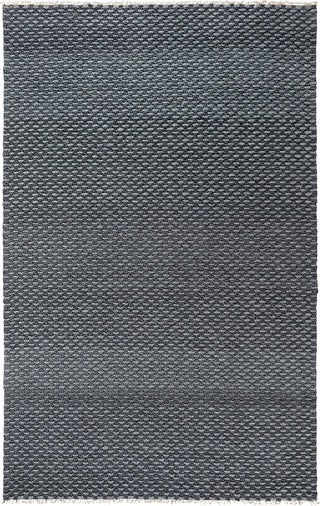 Rizzy Capri CPI102 Gray Main Image