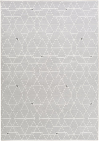 Surya Contempo CPO-3713 Area Rug