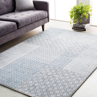 Surya Contempo CPO-3729 Area Rug Room Image Feature