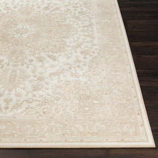 Surya Contempo CPO-3838 Beige White Tan Area Rug Mirror Detail Image