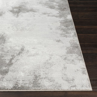 Surya Contempo CPO-3839 Light Gray White Charcoal Area Rug Detail Image