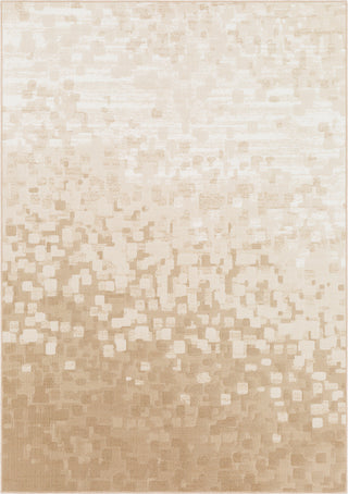 Surya Contempo CPO-3841 Beige White Tan Area Rug main image