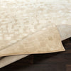 Surya Contempo CPO-3841 Beige White Tan Area Rug Pile Image