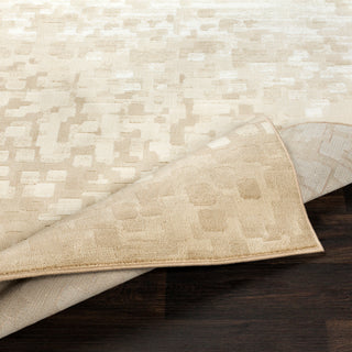 Surya Contempo CPO-3841 Beige White Tan Area Rug Pile Image