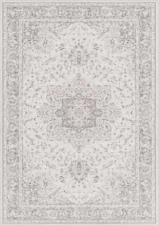 Surya Contempo CPO-3842 Light Gray Charcoal White Area Rug Mirror main image