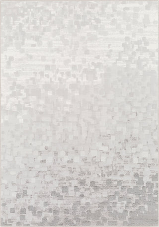 Surya Contempo CPO-3843 Light Gray White Area Rug main image