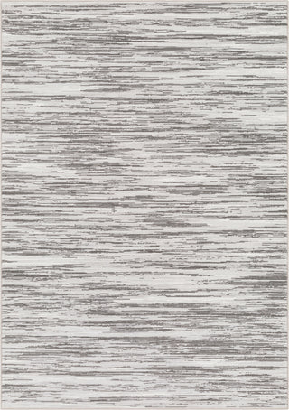 Surya Contempo CPO-3844 Light Gray White Charcoal Area Rug main image