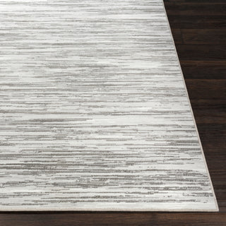 Surya Contempo CPO-3844 Light Gray White Charcoal Area Rug Detail Image