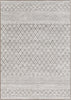 Surya Contempo CPO-3847 Area Rug main image