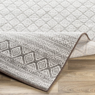 Surya Contempo CPO-3847 Area Rug