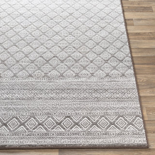 Surya Contempo CPO-3847 Area Rug